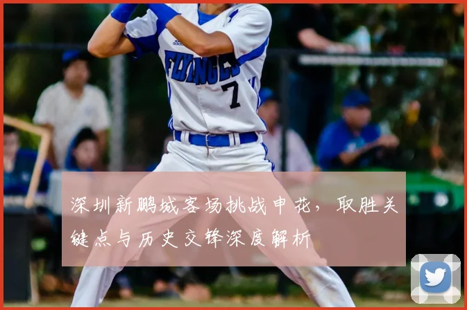 深圳新鹏城客场挑战申花,取胜关键点与历史交锋深度解析