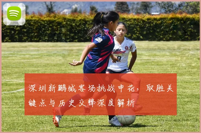 深圳新鹏城客场挑战申花，取胜关键点与历史交锋深度解析