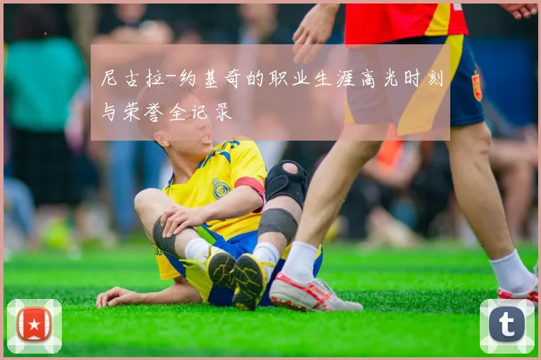 尼古拉-约基奇的职业生涯高光时刻与荣誉全记录
